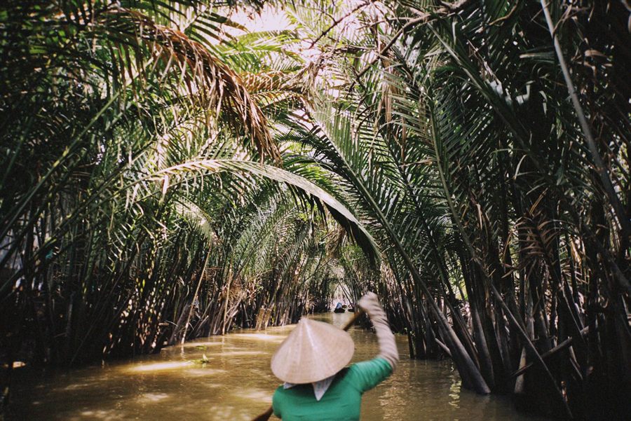 Rowing boat gliding through a tunnel of water palms in the Mekong Delta
